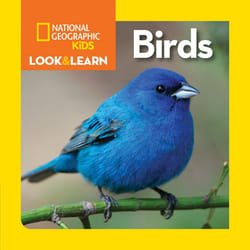 ISBN National Geographic Kids Look and Learn: Birds