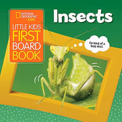 Hachette Book Group Little Kids First Board Book: Insects, Animals, English, 26 pages