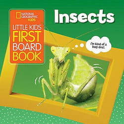 Hachette Book Group Little Kids First Board : Insects book Animals English 26 pages