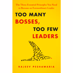ISBN Too Many Bosses, Too Few Leaders, English, Hardcover, 256 pages