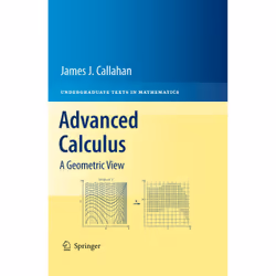ISBN 9781441973313, English, Hardcover, 526 pages