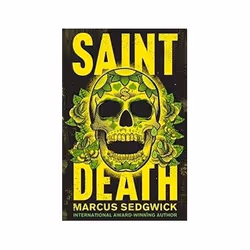 ISBN Saint Death, Children & teenagers, English, 272 pages