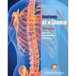 ISBN Anatomy at a Glance, Educational, English, 192 pages
