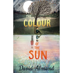 Hachette UK The Colour of the Sun book English Paperback 240 pages
