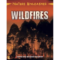 Hachette UK Wildfires, English, Hardcover, 32 pages