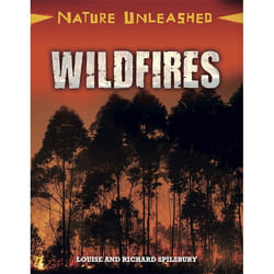 Hachette UK Wildfires book English Hardcover 32 pages