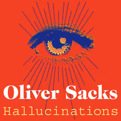 ISBN Hallucinations, English, Paperback, 336 pages