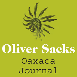 ISBN Oaxaca Journal, English, Paperback, 176 pages