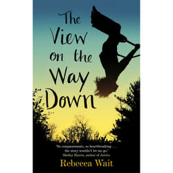ISBN The View on the Way Down book English Paperback 320 pages