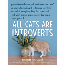 ISBN All Cats Are Introverts, Animals, English, Hardcover, 112 pages
