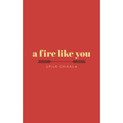 ISBN a fire like you