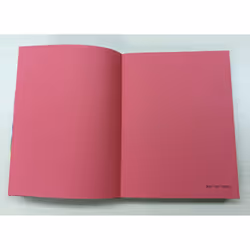 Bright Ideas Journal: A Journal With 10 Shades of Inspiration