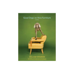 Good Dogs on Nice Furniture Notes by William McDevitt