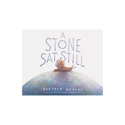 Stone Sat Still by Brendan Wenzel