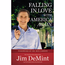ISBN Falling in Love with America Again, Politics, English, Paperback, 320 pages