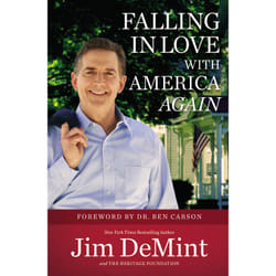 ISBN Falling in Love with America Again book Politics English Paperback 320 pages