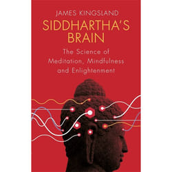 Hachette UK Siddhartha's Brain book English Paperback 336 pages