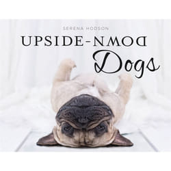 Hachette UK Upside-Down Dogs book English Hardcover 128 pages
