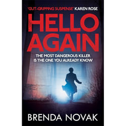 Hachette UK Hello Again book English Paperback 352 pages