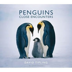 ISBN Penguins (Close Encounters)