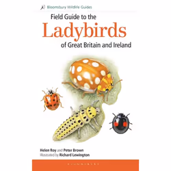 ISBN Field Guide to the Ladybirds of Great Britain and Ireland, Science & nature, English, Paperback, 160 pages