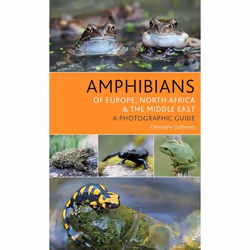 ISBN Amphibians of Europe, North Africa and the Middle East (A Photographic Guide), English, Paperback, 224 pages