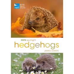 ISBN RSPB Spotlight Hedgehogs, English, Paperback, 128 pages