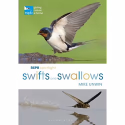 ISBN RSPB Spotlight Swifts and Swallows, English, Paperback, 128 pages