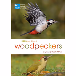 ISBN RSPB Spotlight Woodpeckers, English, Paperback, 128 pages