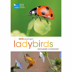 ISBN RSPB Spotlight Ladybirds, English, Paperback, 128 pages