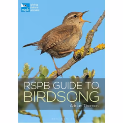 ISBN RSPB Guide to Birdsong, English, Paperback, 256 pages