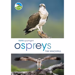 ISBN RSPB Spotlight Ospreys, English, Paperback, 128 pages