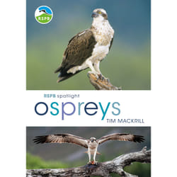 ISBN RSPB Spotlight Ospreys book English Paperback 128 pages