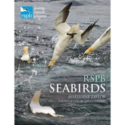 ISBN RSPB Seabirds