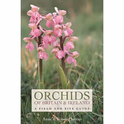 ISBN Orchids of Britain and Ireland (A Field and Site Guide), English, Paperback, 480 pages