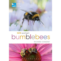ISBN RSPB Spotlight Bumblebees book English Paperback 128 pages