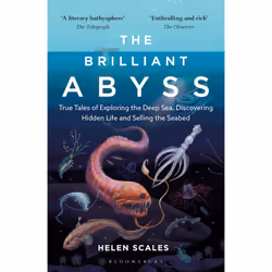 ISBN The Brilliant Abyss, English, Paperback, 352 pages