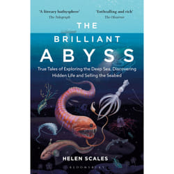 ISBN The Brilliant Abyss book English Paperback 352 pages