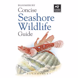 ISBN Concise Seashore Wildlife Guide, Science & nature, English, Paperback, 192 pages