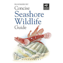 ISBN Concise Seashore Wildlife Guide