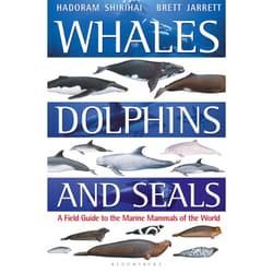 ISBN Whales, Dolphins and Seals book English Paperback 384 pages