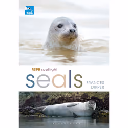 ISBN RSPB Spotlight Seals, English, Paperback, 128 pages