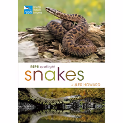 ISBN RSPB Spotlight Snakes, English, Paperback, 128 pages