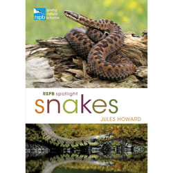 ISBN RSPB Spotlight Snakes book English Paperback 128 pages