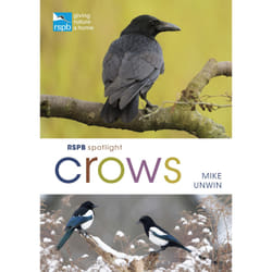 ISBN RSPB Spotlight Crows book English Paperback 128 pages