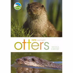 ISBN RSPB Spotlight: Otters, English, Paperback, 128 pages
