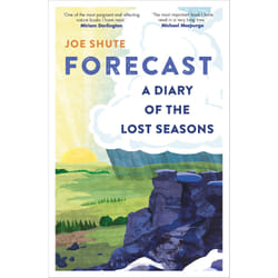 ISBN Forecast book English Paperback 272 pages