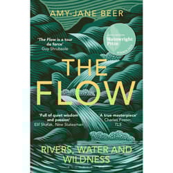 ISBN The Flow book English Paperback 400 pages