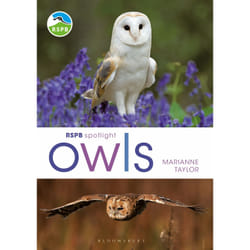ISBN RSPB Spotlight Owls book English Paperback 128 pages