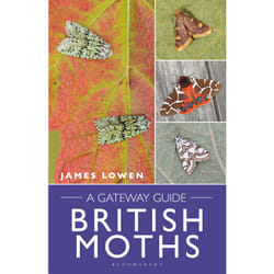 ISBN British Moths book English 224 pages